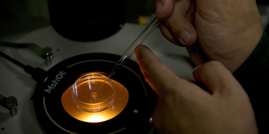 <pre>КТО. Эксперты ищут пределы экспериментов по редактированию человеческих генов