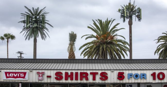 <pre>Почему вышки сотовой связи выглядят как искусственные деревья?