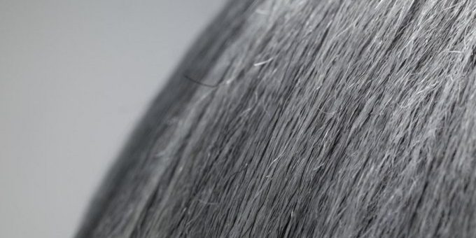 Учёные нашли способ борьбы с седыми волосами (2 фото + видео) » 24Gadget.Ru :: Гаджеты и технологии