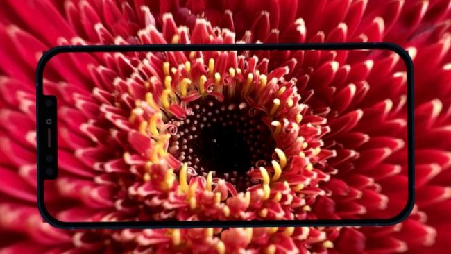 <pre>Новый режим макросъемки iPhone 13 Pro вызывает проблемы