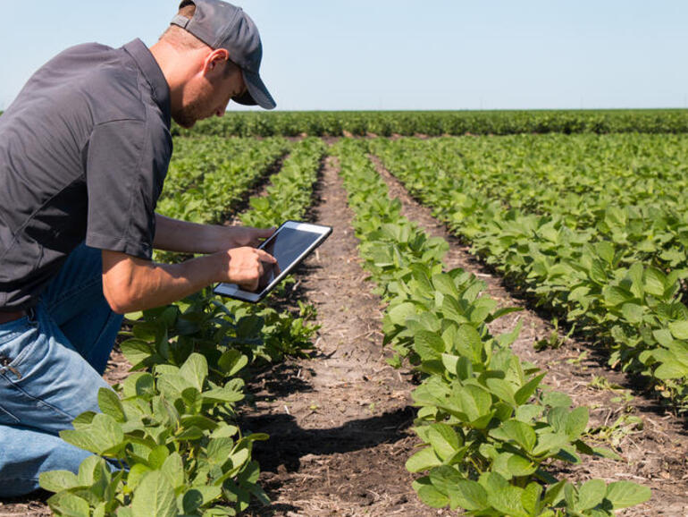 <pre>ФБР предупреждает об атаках программ-вымогателей, нацеленных на продовольственный и сельскохозяйственный сектор, поскольку Белый дом настаивает на принятии упреждающих мер