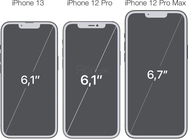 Сравнение размеров дисплеев iPhone 13, iPhone 12 Pro и iPhone 12 Pro Max