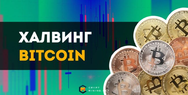 Что такое халвинг Биткоина и его основные этапы