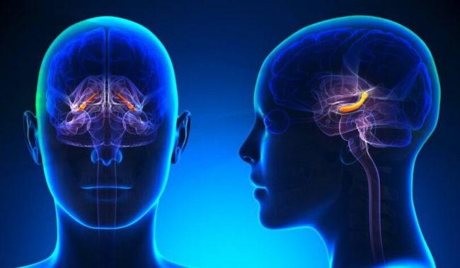 Как память человека из фрагментов превращается в рассказ