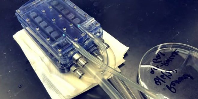 Первые тестирования искусственной почки с гемодиализом прошли успешно (видео) » 24Gadget.Ru :: Гаджеты и технологии