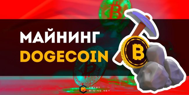 Как майнить Dogecoin: инструкция для новичков