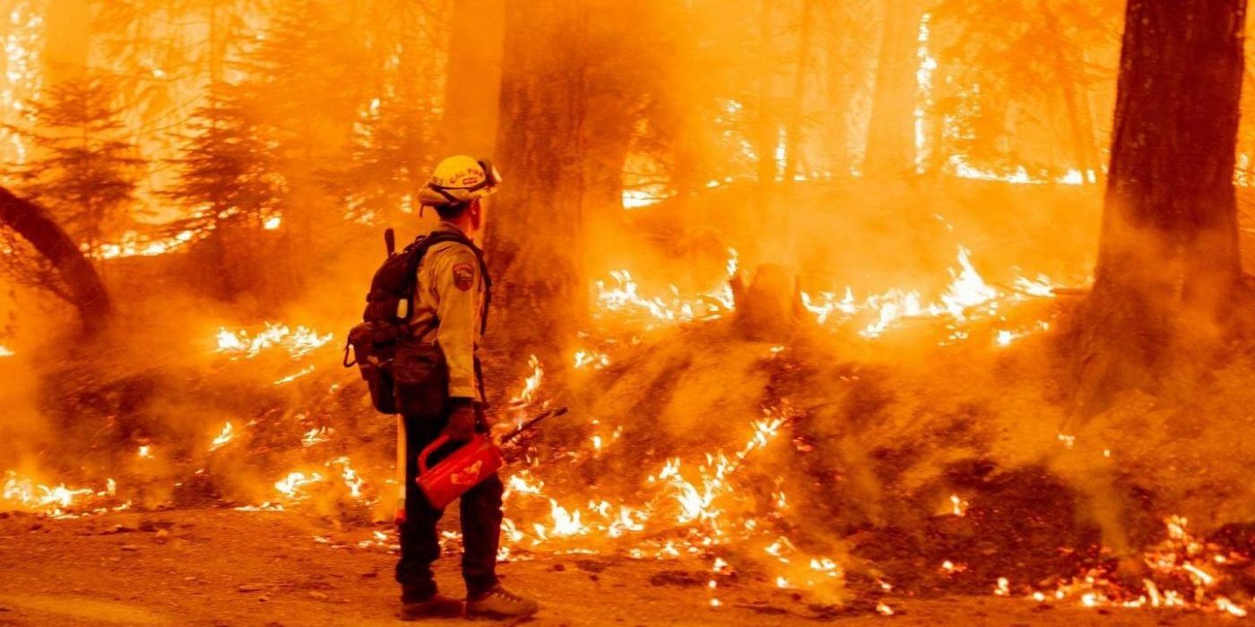 Новая нормальность: человечеству объявлен «Красный код»