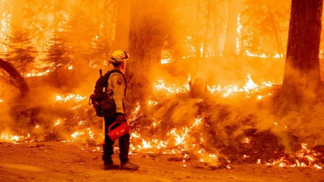 Новая нормальность: человечеству объявлен «Красный код»