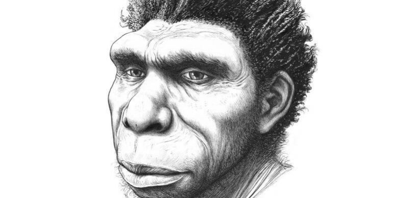 Обнаружен новый вид предка человека — Homo bodoensis