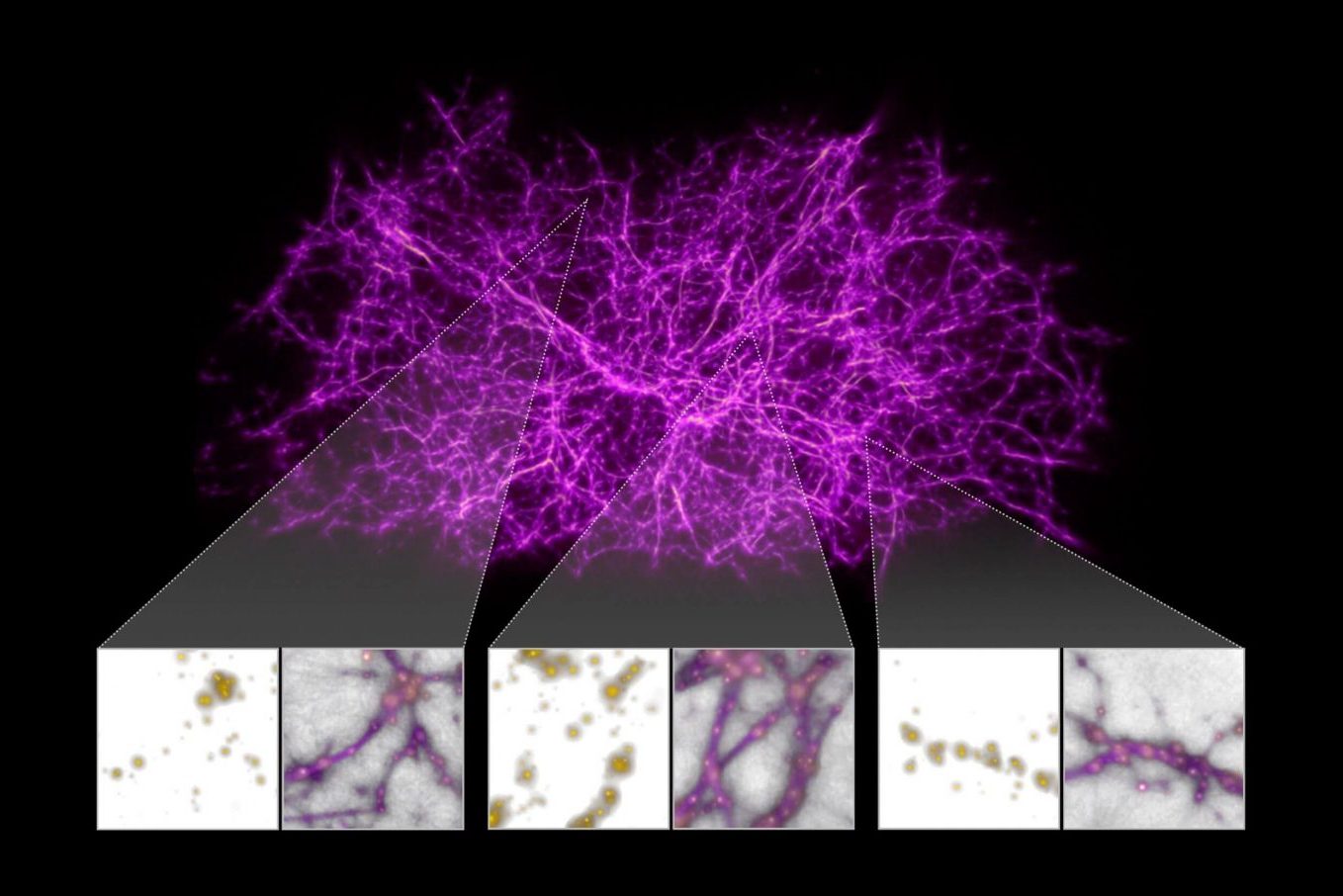 Астрофизики обнаружили «мосты» из темной материи. Что это такое?