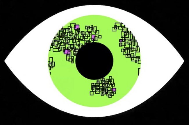 <pre>Франция приказала Clearview AI удалить свои данные по распознаванию лиц