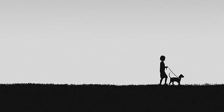 Негативное (отрицательное) пространство в фотографии: как пользоваться этим приемом?