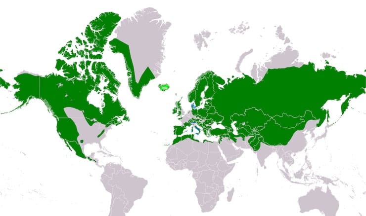 Карта распространения воронов и ворон