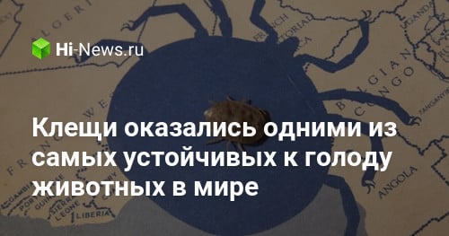 Клещи оказались одними из самых устойчивых к голоду животных в мире
