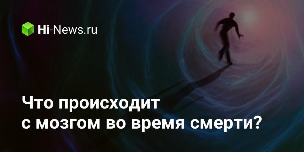 Что происходит с мозгом во время смерти?