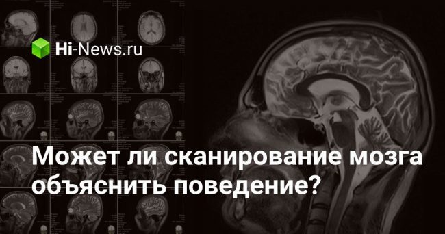 Может ли сканирование мозга объяснить поведение человека?