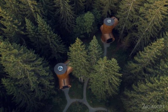 Что ты такое: в австралийском лесу появились странные трубовидные строения » 24Gadget.Ru :: Гаджеты и технологии