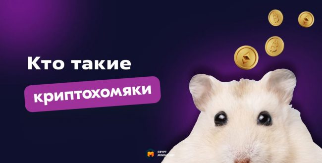 Кто такой криптохомяк и как им не стать