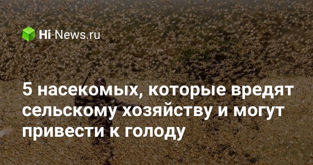 5 насекомых, которые вредят сельскому хозяйству и могут привести к голоду