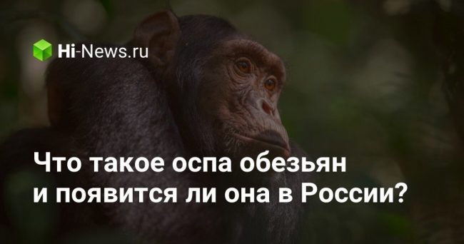 Что такое оспа обезьян и появится ли она в России?