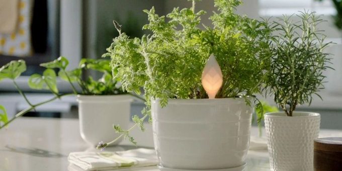 Концепт Krado поможет в уходе за домашними растениями » 24Gadget.Ru :: Гаджеты и технологии