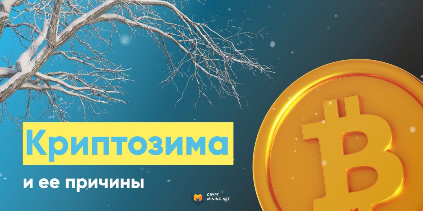 Что такое криптозима, ее причины и ТОП-6 токенов для покупки
