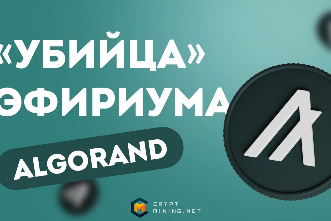 «Убийца» Эфириума Algorand (ALGO): будущее криптовалюты или очередной пузырь