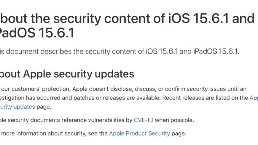 Обновление iOS 15.6.1 и iPadOS 15.6.1 Large