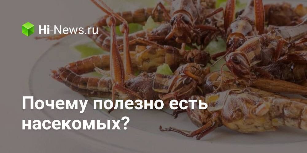 Почему полезно есть насекомых?