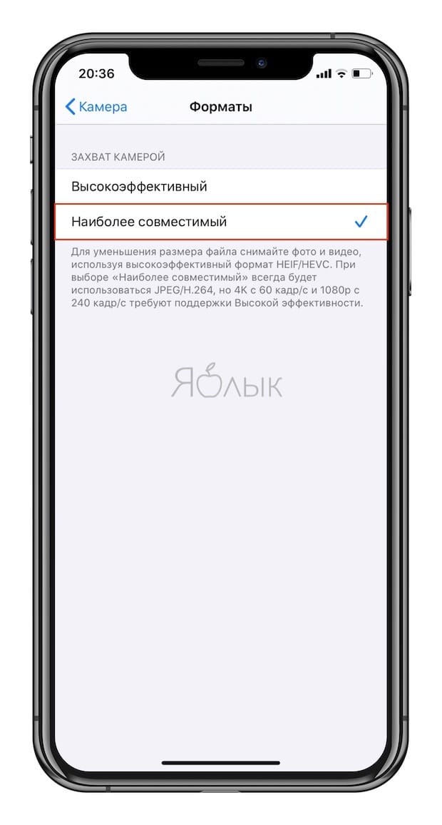 Как конвертировать фото в формате HEIC (HEIF) в формат JPG прямо на iPhone