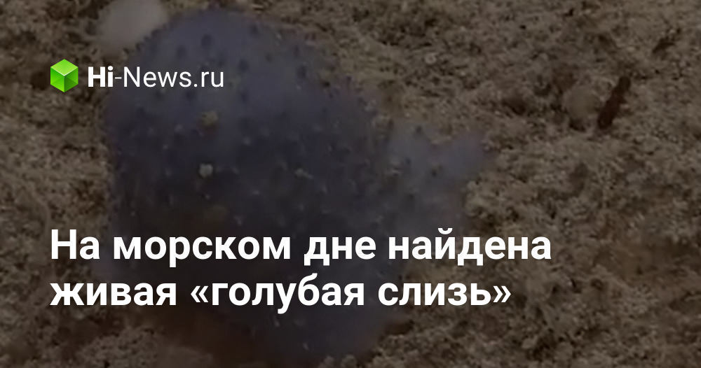 На морском дне найдена живая «голубая слизь»