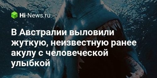 В Австралии выловили жуткую, неизвестную ранее акулу с человеческой улыбкой