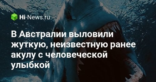 В Австралии выловили жуткую, неизвестную ранее акулу с человеческой улыбкой