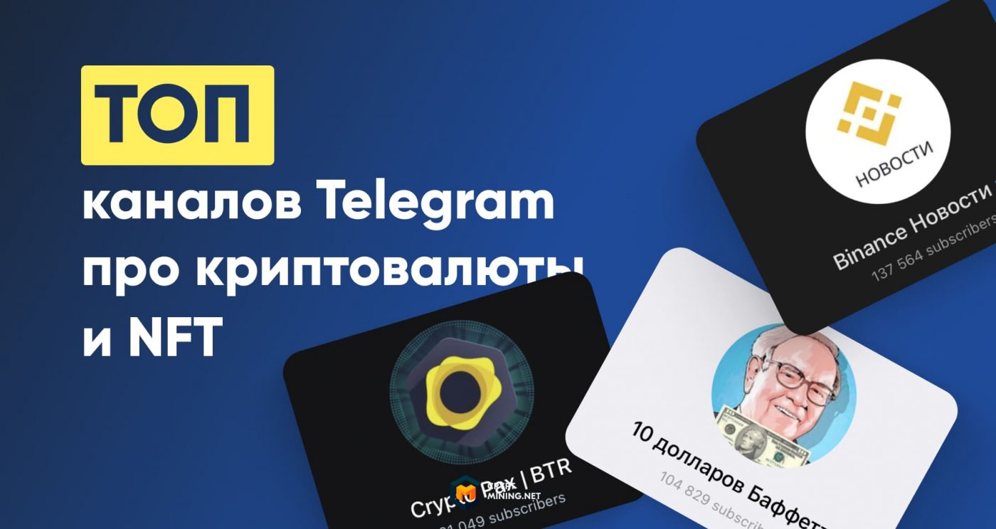 Лучшие Телеграм-каналы о криптовалюте и NFT: обзор, ссылки, особенности