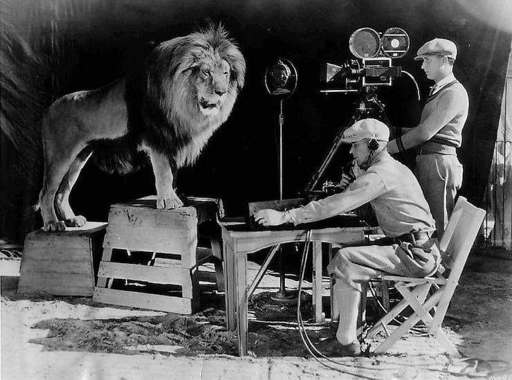 Знаменитый лев из вступительных титров MGM