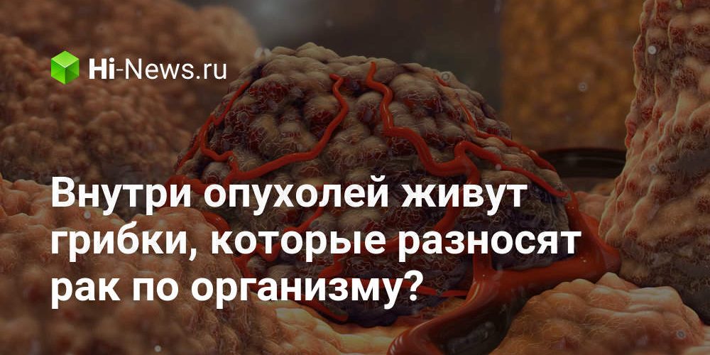 Внутри опухолей живут грибки, которые разносят рак по организму?
