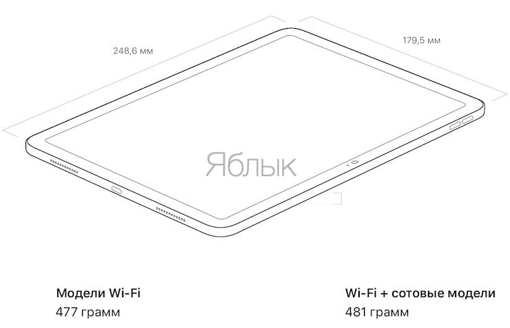 Размеры и вес iPad 10-го поколения (2022)