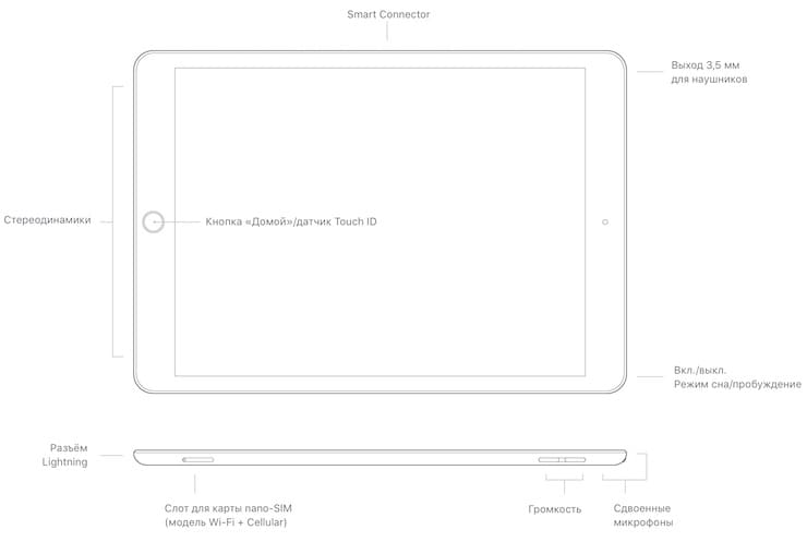 Дизайн iPad 9-го поколения (2021)