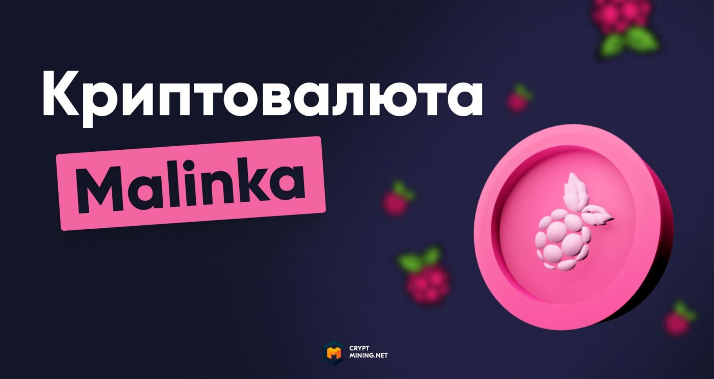 Обзор токена Malinka (MLNK), что это, как купить, и можно ли заработать