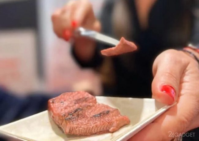 В Израиле научились на 3D-принтере печатать мясо » 24Gadget.Ru :: Гаджеты и технологии