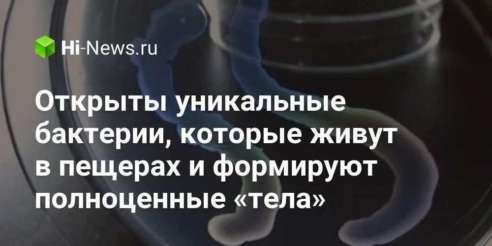 Открыты уникальные бактерии, которые живут в пещерах и формируют полноценные «тела»