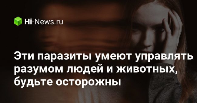 Эти паразиты умеют управлять разумом людей и животных, будьте осторожны