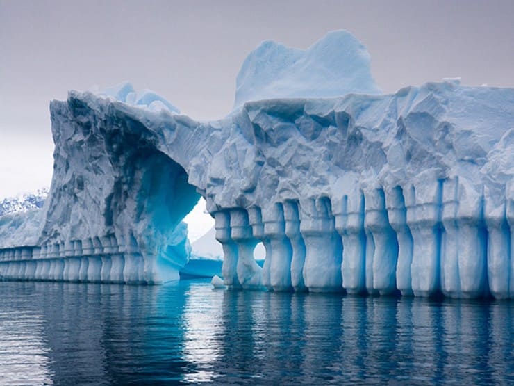 В чем отличия между Арктикой и Антарктикой?