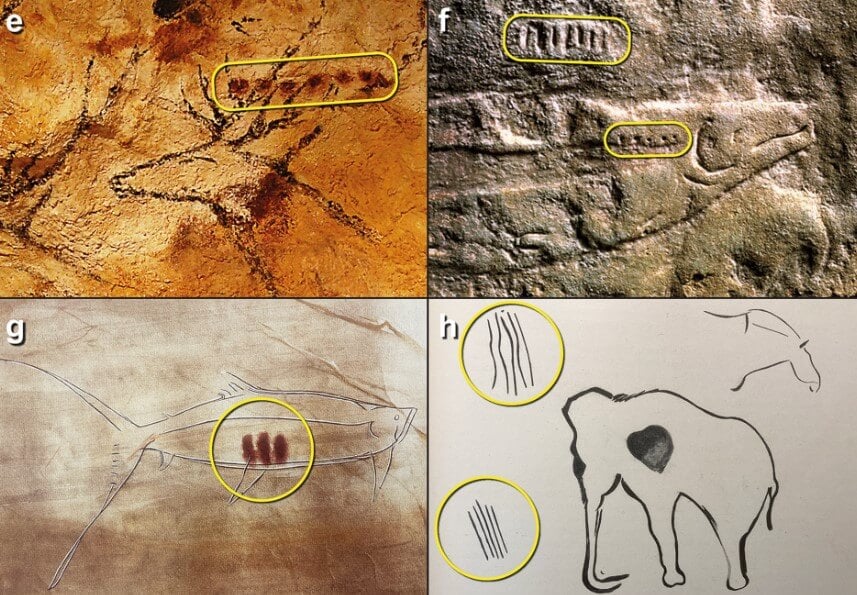 Что означают рисунки на стенах пещер. Возможно, пометки на наскальной живописи помогали древним людям выживать. Фото.