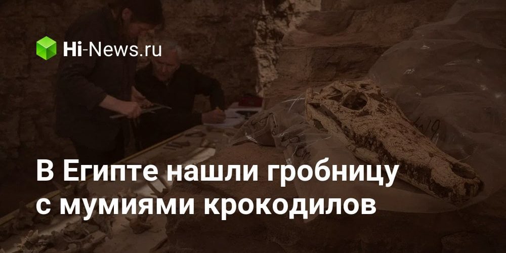 В Египте нашли гробницу с мумиями крокодилов