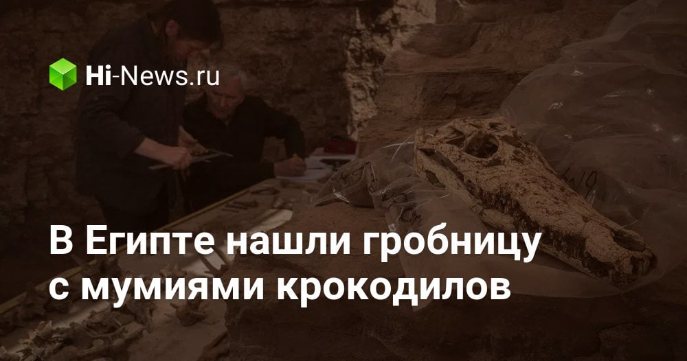 В Египте нашли гробницу с мумиями крокодилов