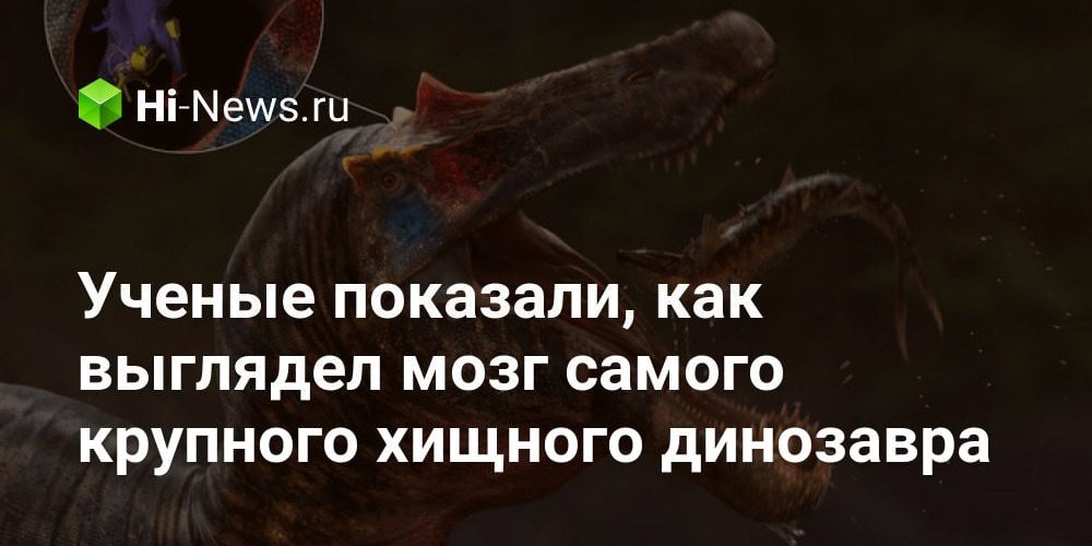 Ученые показали, как выглядел мозг самого крупного хищного динозавра