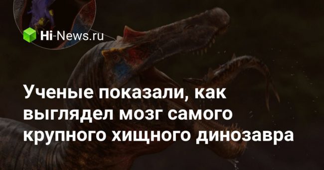 Ученые показали, как выглядел мозг самого крупного хищного динозавра