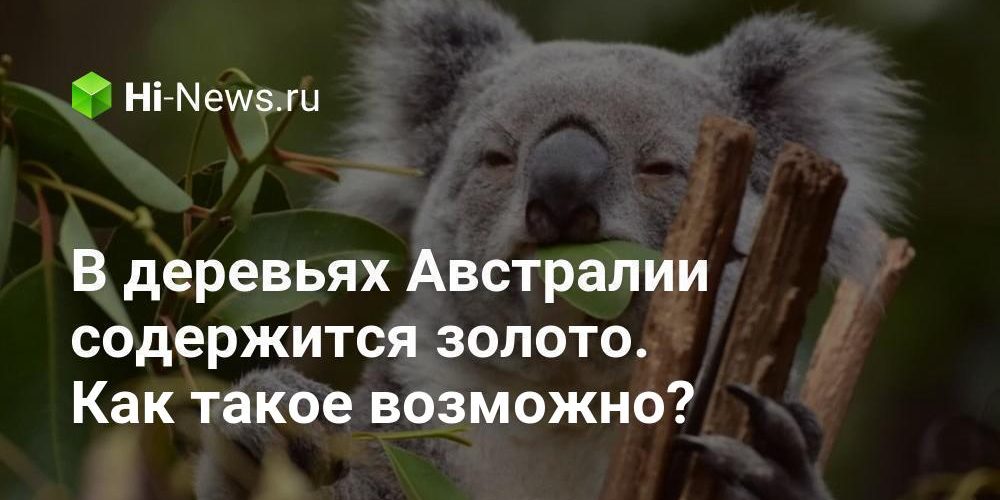 В деревьях Австралии содержится золото. Как такое возможно?