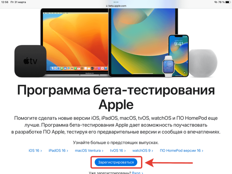 Как установить публичную бету iOS. Подтвердите вход с помощью Touch ID или Face ID. Фото.